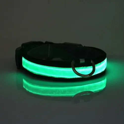 LED Light Up Dog Collar ANI VITALS