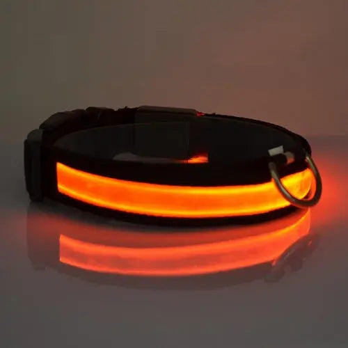 LED Light Up Dog Collar ANI VITALS