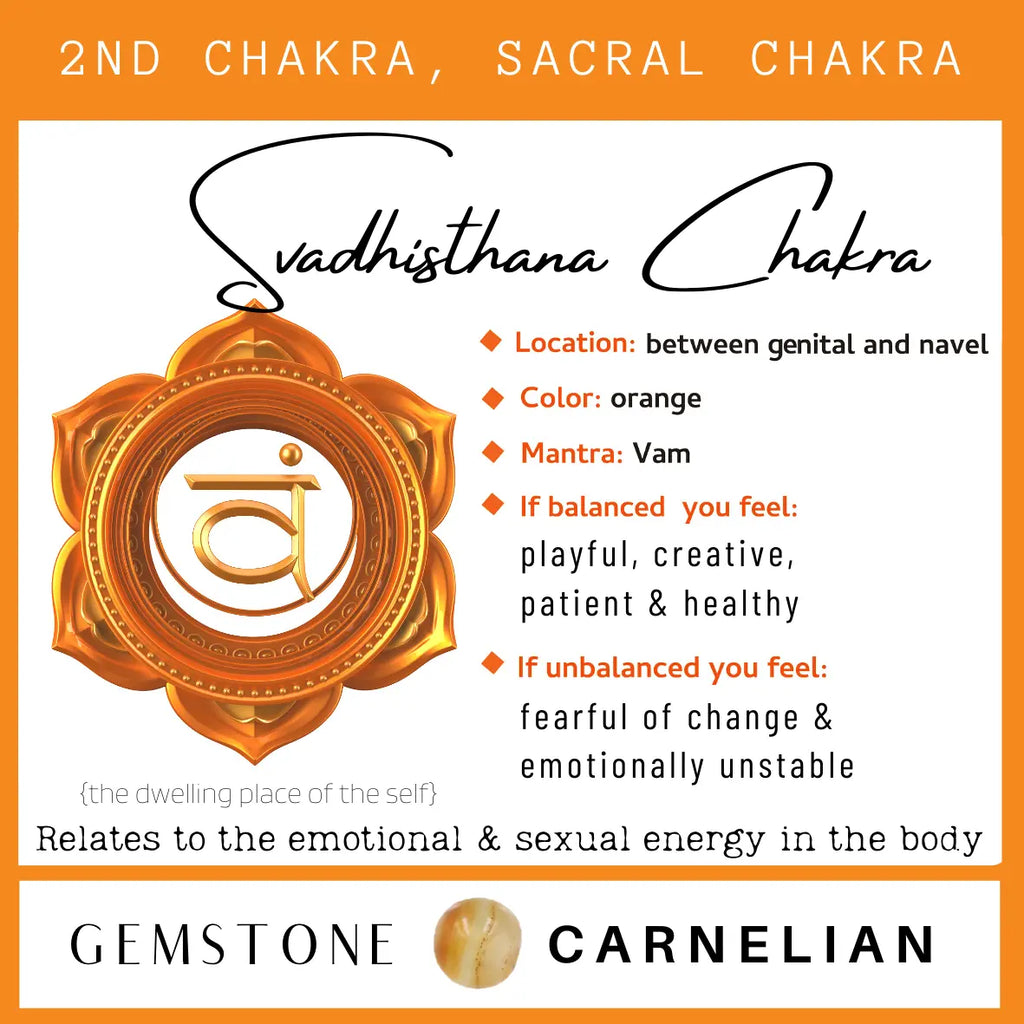 Chakra & Cherry Amber Adult Anklet Chakra