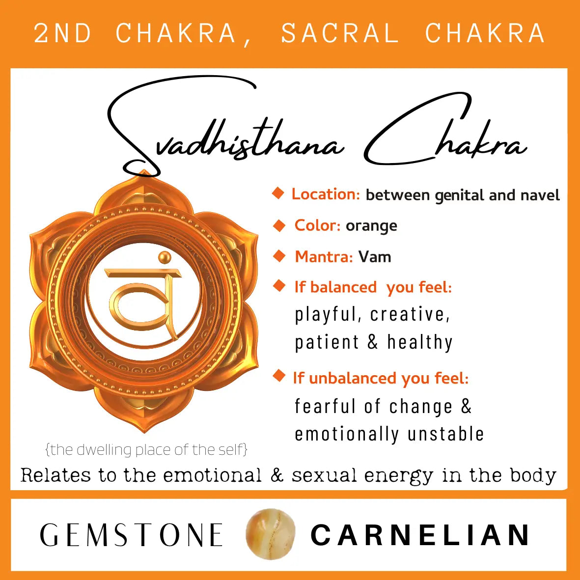 Chakra & Cherry Amber Adult Anklet Chakra